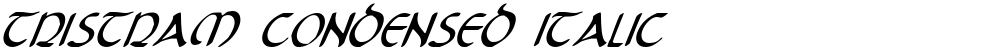 Tristram Condensed Italic