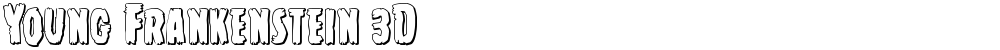 Young Frankenstein 3D
