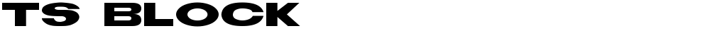 TS Block