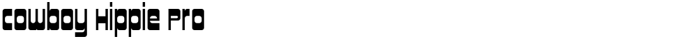 Cowboy Hippie Pro