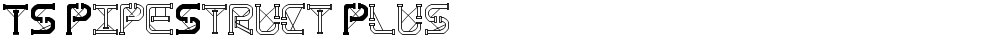 TS PipeStruct Plus