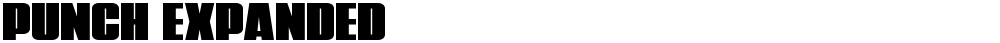 Punch Expanded