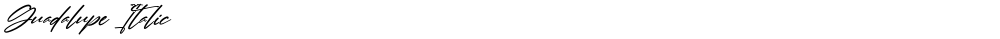 Guadalupe Italic
