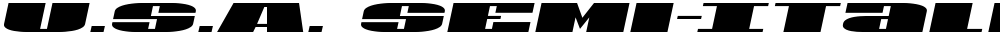 U.S.A. Semi-Italic