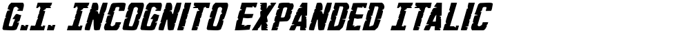 G.I. Incognito Expanded Italic