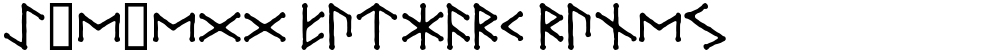 Ice-egg Futhark Runes
