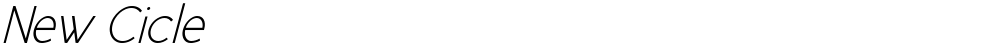 New Cicle