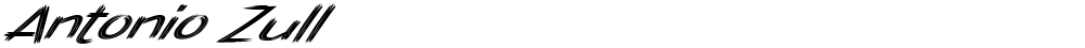 Antonio Zull