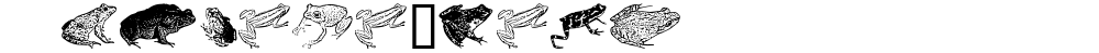 AmphibiPrint