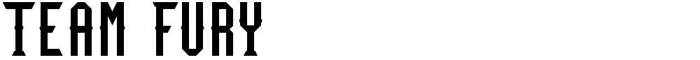 Team Fury