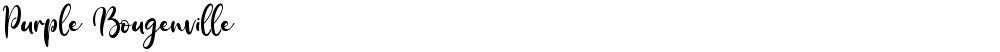 Purple Bougenville