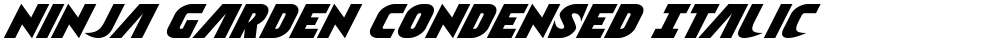 Ninja Garden Condensed Italic