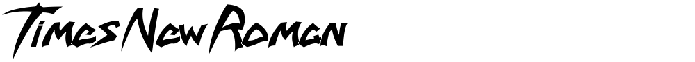 Times New Roman