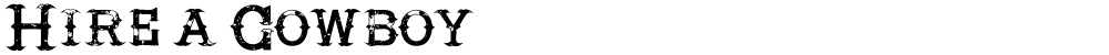 Hire a Cowboy