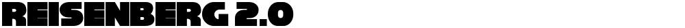 Reisenberg 2.0