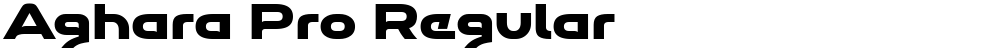 Aghara Pro Regular