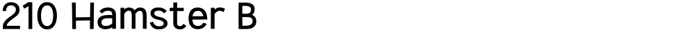 210 Hamster B