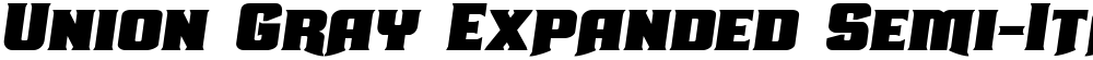 Union Gray Expanded Semi-Italic