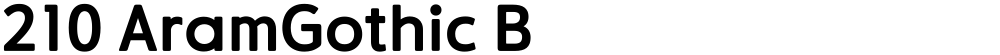 210 AramGothic B