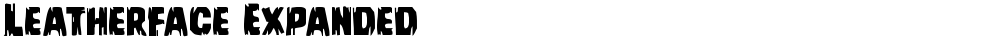 Leatherface Expanded