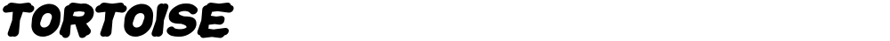 TORTOISE