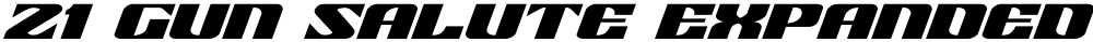 21 Gun Salute Expanded Italic