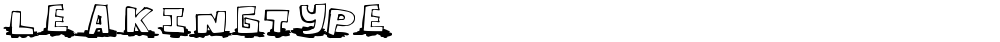 LeakingType