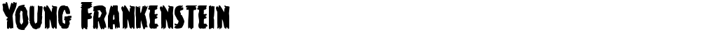 Young Frankenstein