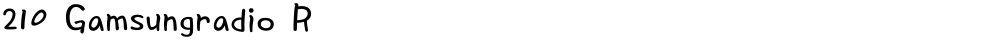 210 Gamsungradio R
