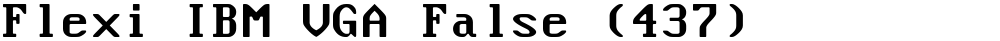 Flexi IBM VGA False (437)