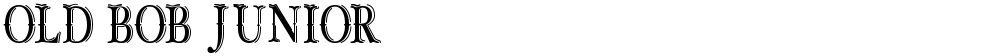 OLD BOB JUNIOR