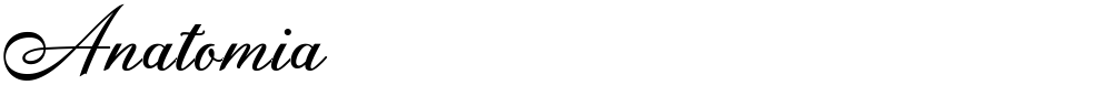 Anatomia
