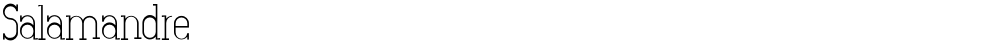 Salamandre