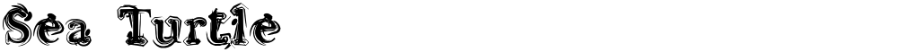 Sea Turtle