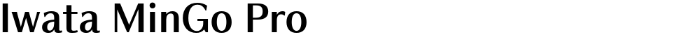 Iwata MinGo Pro