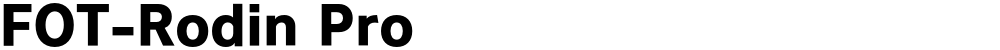 FOT-Rodin Pro