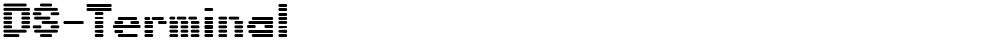 DS-Terminal