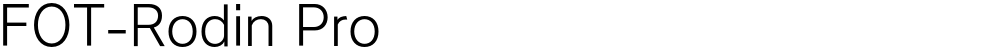 FOT-Rodin Pro