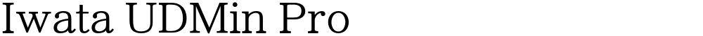 Iwata UDMin Pro