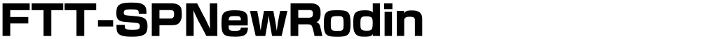 FTT-SPNewRodin