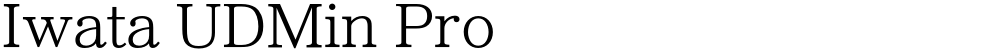 Iwata UDMin Pro